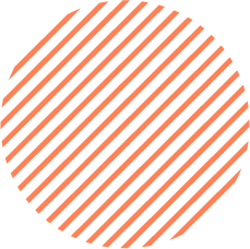 项目管理软件的网站攻击器